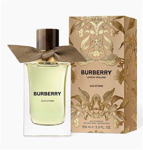 Burberry storm perfume